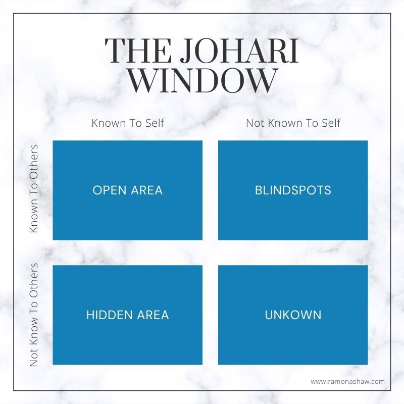 Uncovering Blindspots & The Johari Window_TN