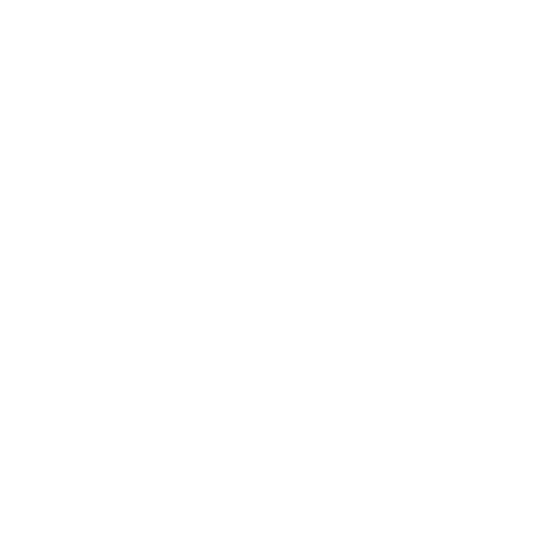 Leadership Advisory people icon white